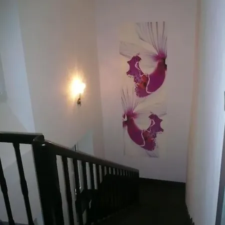 Le Chant Des Tournesols Piscine Chauffee