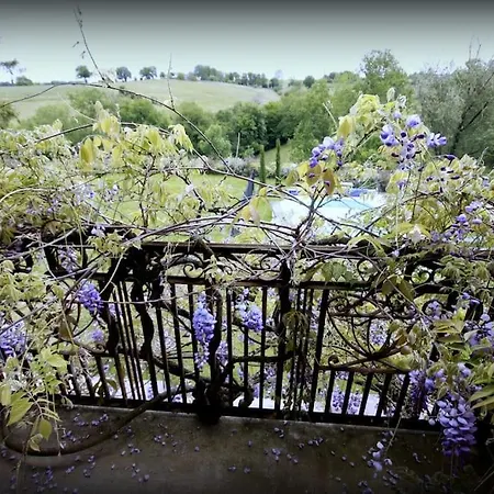 Le Chant Des Tournesols Piscine Chauffée *