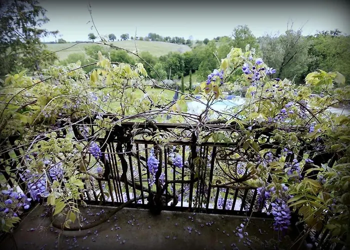Le Chant Des Tournesols Piscine Chauffée *